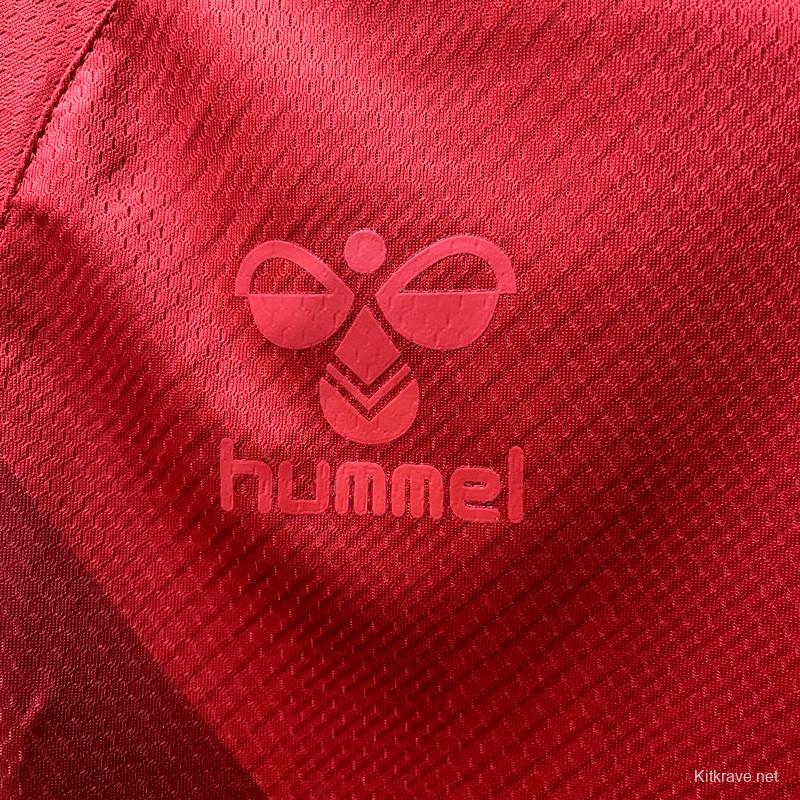 2022 Denmark Home Jersey