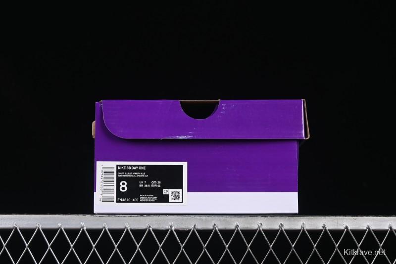 Nike SB Day One Low Top Casual Skate Shoes with Air Zoom Cushion - FN4210-400