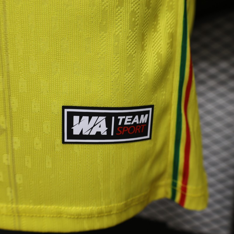 Player Version 26/27 Mali Away Yellow Jersey