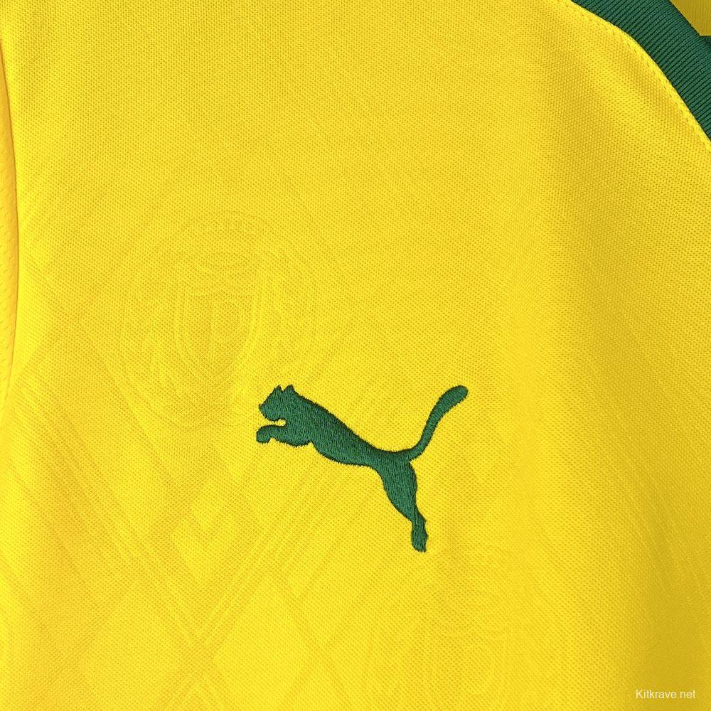 2025/26 Mens Palmeiras Third Jersey