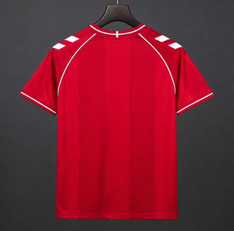 2026 Denmark Home Jersey